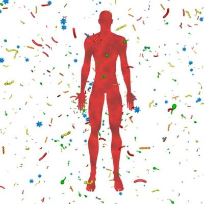 Microbiomul: Universul incredibil din colonul uman, legătura dintre imunitatea, anxietate, cancer și ceea ce mâncam