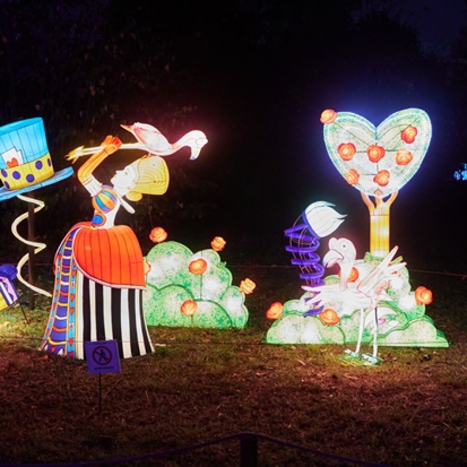 Număr impresionant de vizitatori la expoziția Grădina Luminilor organizată în Grădina Botanică Dimitrie Brandza București