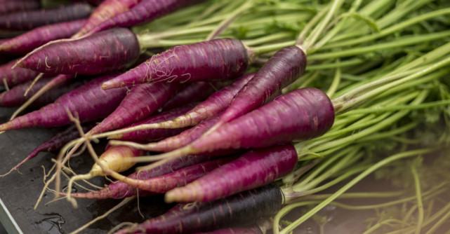 Morcovul violet, o sursa de sanatate. Uite ce beneficii are asupra organismului