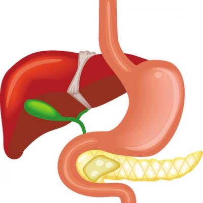 10 Remedii pentru tulburarile VEZICII BILIARE