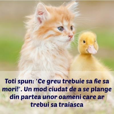 30 de lectii profunde dupa care sa ne traim viata