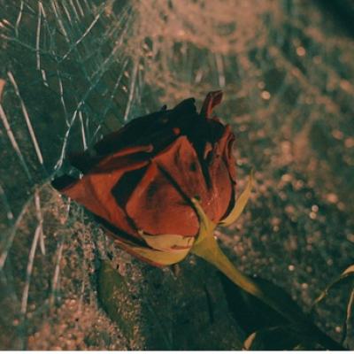 Cezar Gună lansează FRAIERUL TĂU și o provocare muzicală