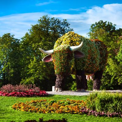 Știați că există o capitală europeană a vacuțelor? Descoperă statutele inedite din orașul Ventspils – GALERIE FOTO