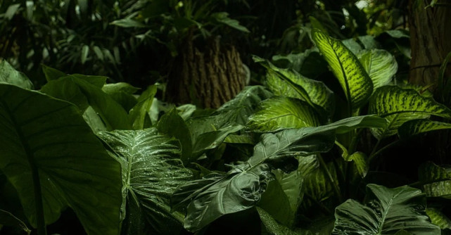 Echipa Războinicilor este gata de atac! Cea de-a doua echipă s-a format, iar doi concurenți sunt surprizele momentului