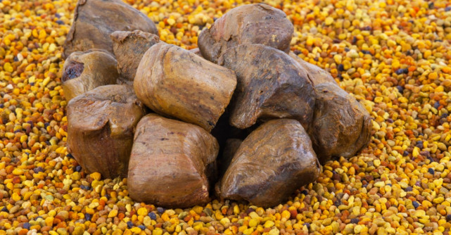 Din farmacia lui Dumnezeu: Beneficiile incredibile ale propolisului