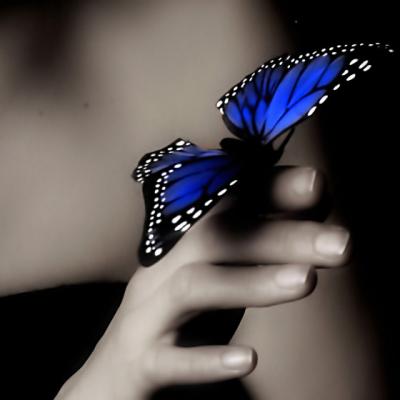 Fericirea mea esti tu 