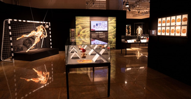 Expoziția originală BODY WORLDS și-a deschis oficial porțile 