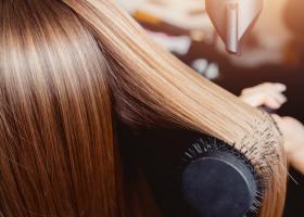 8 Mituri despre par lamurite o data pentru totdeauna