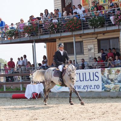 Salonul Calului, in septembrie, la Bucuresti