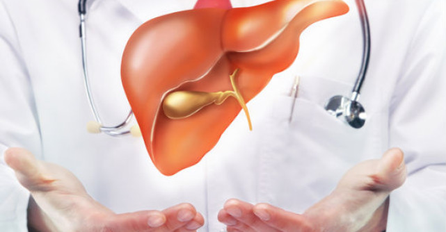 Detoxifierea ficatului in 9 zile. Dupa metoda revolutionara Holford