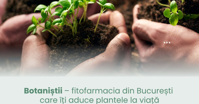 Botaniștii – fitofarmacia din București care îți aduce plantele la viață
