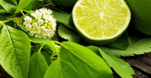 De ce e bine sa consumi LIME - lamai verzi