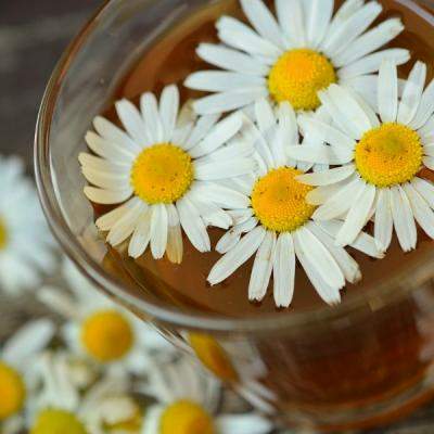 5 dintre cele mai puternice plante medicinale 