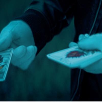 Carla's Dreams - Lalele: conexiuni de suflet