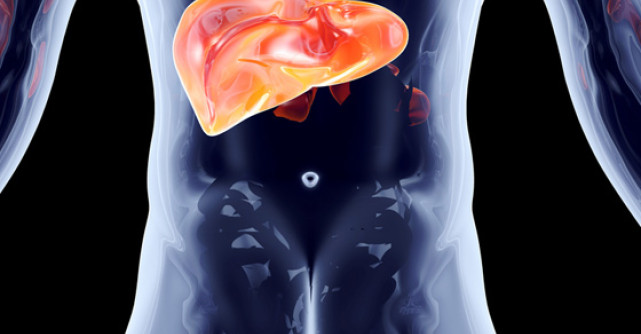 Lipsa donatorilor de organe i-a determinat pe cercetatori sa construiasca ficati miniaturali din celule stem 