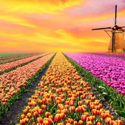 8 Imagini care ne demonstreaza ca Mama Natura nu are nevoie de Photoshop