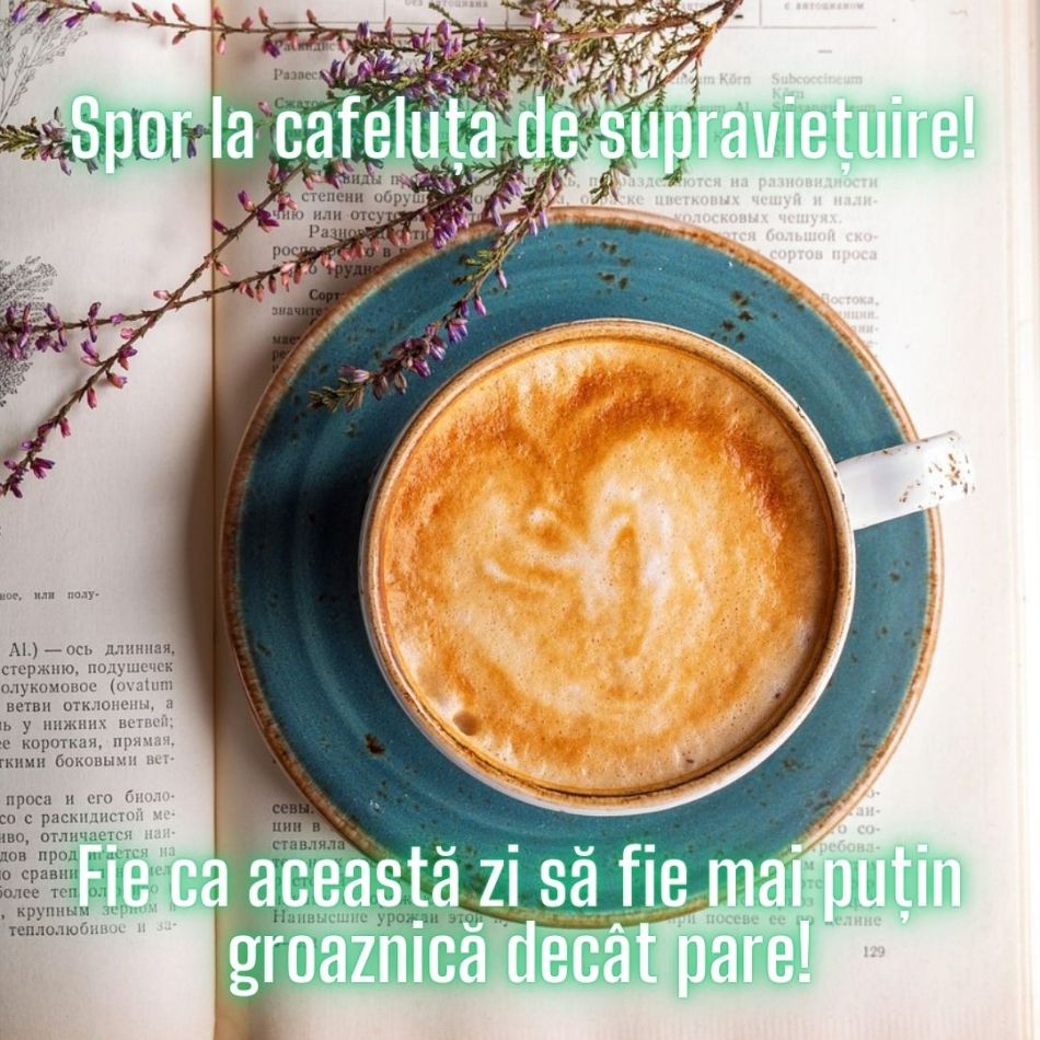 Mesaje amuzante de dimineață de tipul „spor la cafeluță” pe care să le trimiți apropiaților! 
