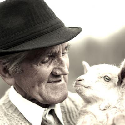 Prietenul lui cel mai bun a murit. Mesajul acestui batranel? O lectie de viata