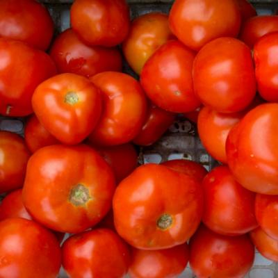 Cum alegi rosiile sanatoase?