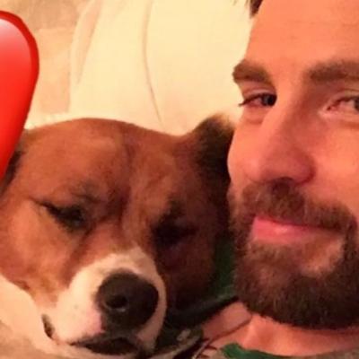 Chris Evans a fost declarat cel mai sexy bărbat în viață de către revista People