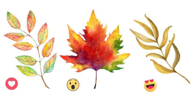 Alege frunza de toamna care te atrage cel mai mult si afla cum vor fi ultimele doua luni ale anului pentru tine