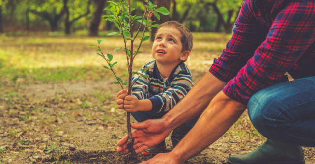 Copiii și mediul înconjurător: de ce este important să învețe de mici să protejeze natura