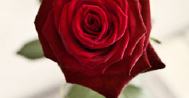 Cum il faci sa te iubeasca mai mult...