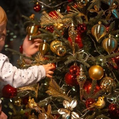 Cum împodobești corect bradul de Crăciun?