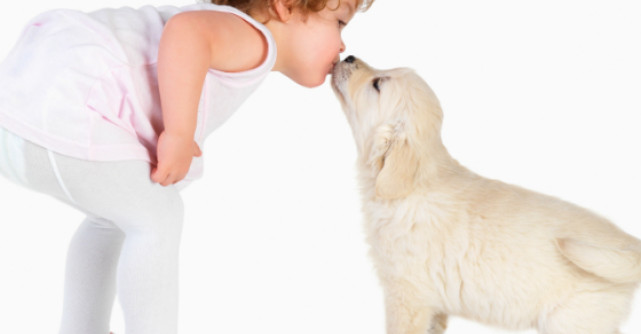 Video super emotionant: Ce face un catel cand intalneste un copil cu sindromul Down?