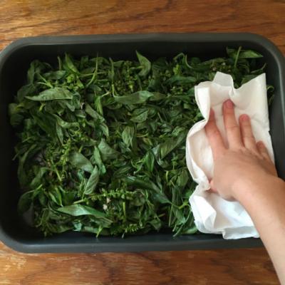 Pune busuiocul in tava de copt. Ce urmeaza? Trebuie sa incercati si voi