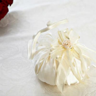 Posete de mireasa si de nunta