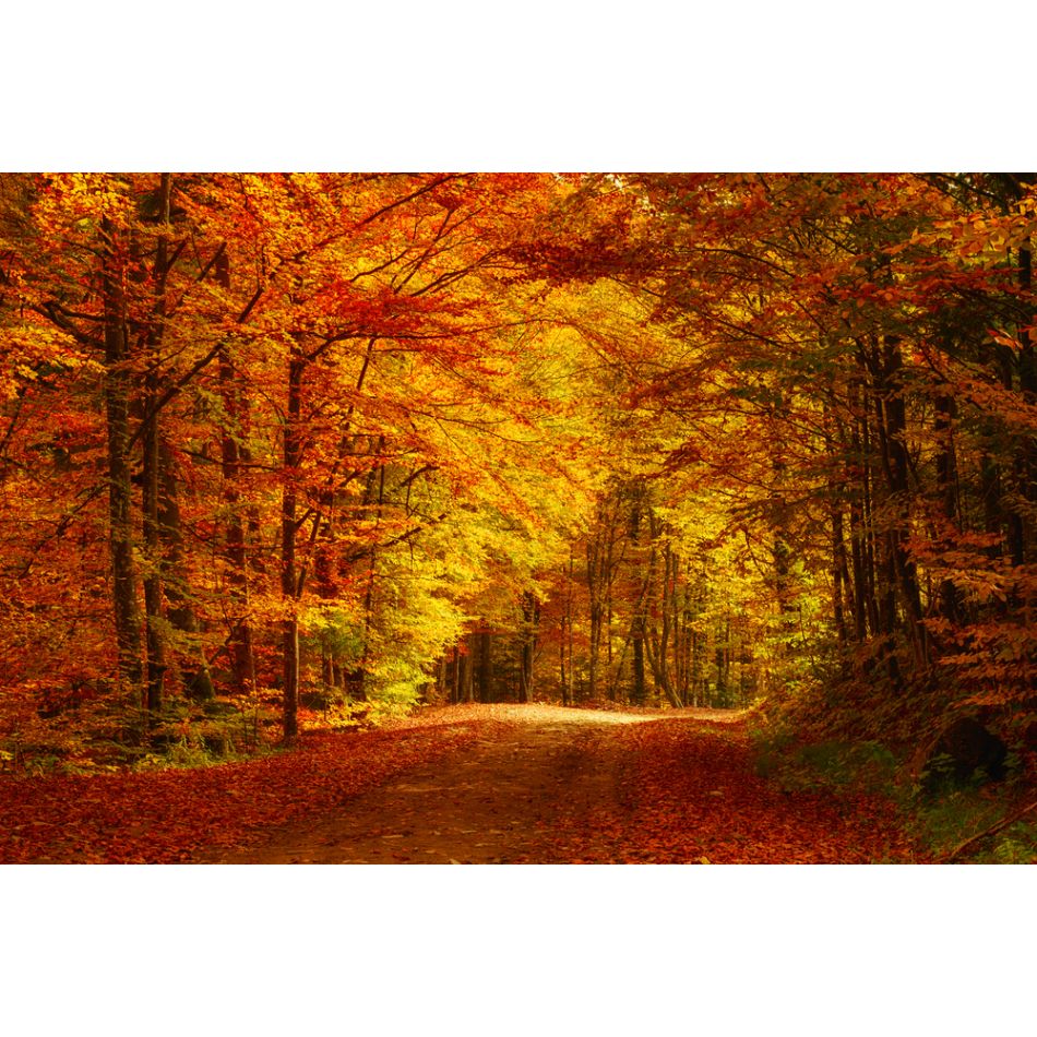 Despre importanta timpului