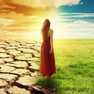 Cele 7 legi cardinale ale Vietii