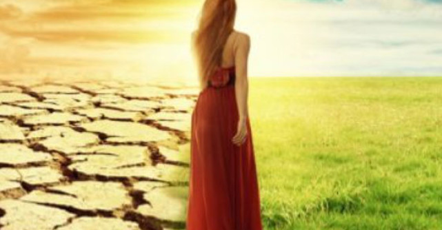 Cele 7 legi cardinale ale Vietii