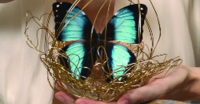 Fluturi vii, un decor inedit pentru nunta