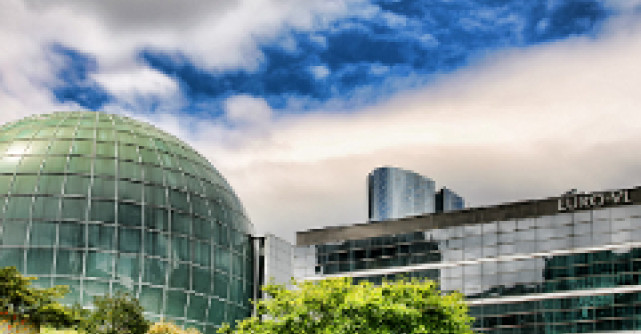 20 de mituri despre cariera