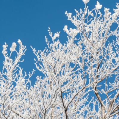 Imagini de basm cu Iarna!