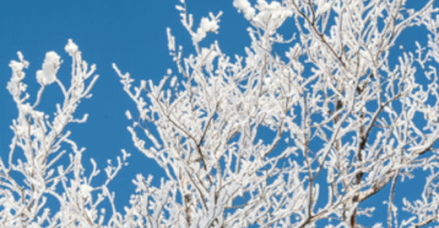 Imagini de basm cu Iarna!