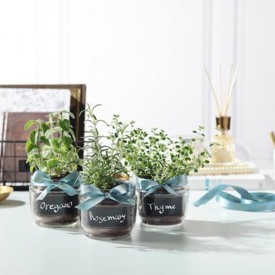 Fall in scrubs - frumoasă din cap până-n picioare cu exfoliantele SABON