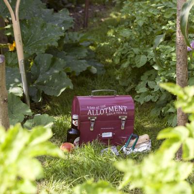 Sfaturi si trucuri pentru a avea o gradina frumoasa - Partea I