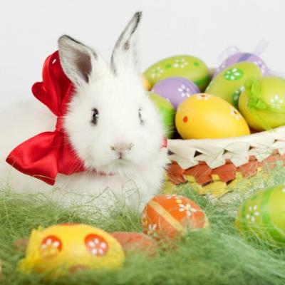 Imagini de Paste: felicitari, poze si urari