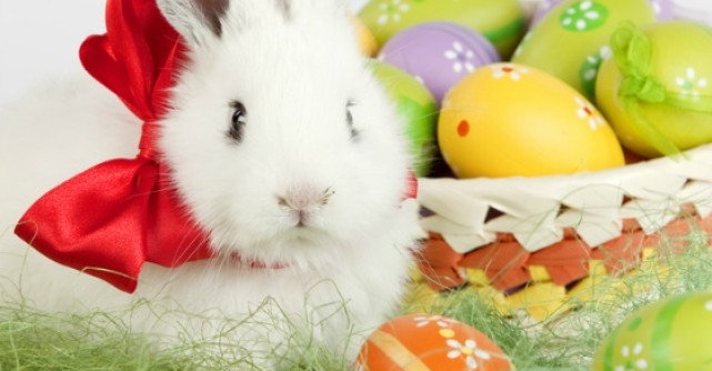 Imagini de Paste: felicitari, poze si urari