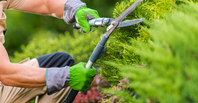 5 echipamente și accesorii de grădinărit care îți vor face munca mai ușoară