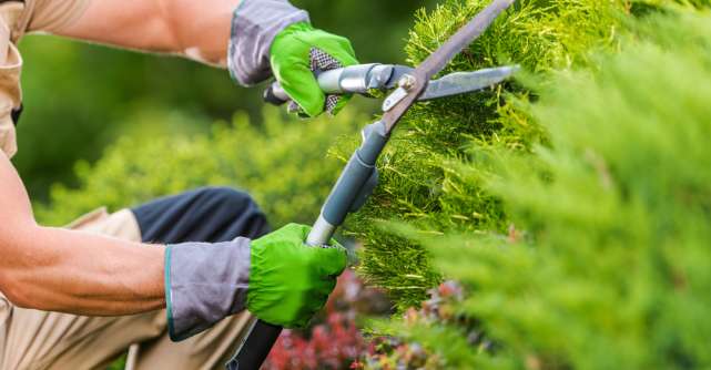 5 echipamente și accesorii de grădinărit care îți vor face munca mai ușoară
