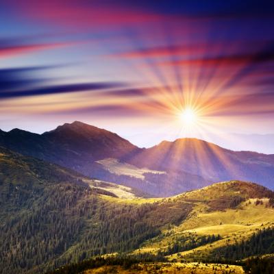 Codul personalitatii