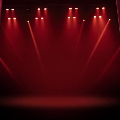 Finală cu lacrimi la Românii au talent! Portretul lui Florin Piersic din LEGO a făcut furori. Ce invitație i-a transmis actorul 