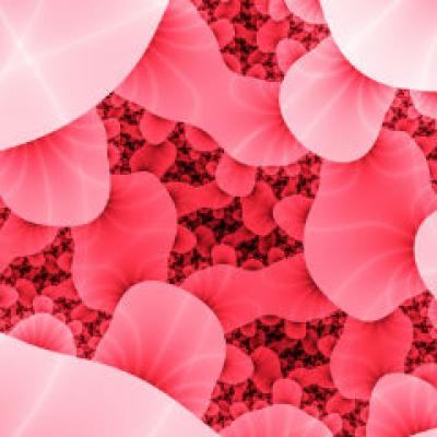 OMS: 12 tari europene afectate de E.coli