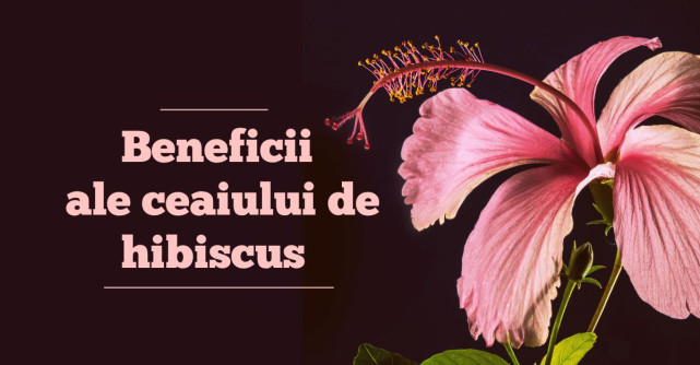 DE CE sa bei in fiecare zi ceai de HIBISCUS