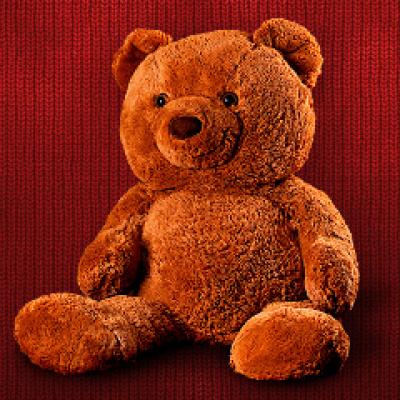 Visul unei zile de iarna