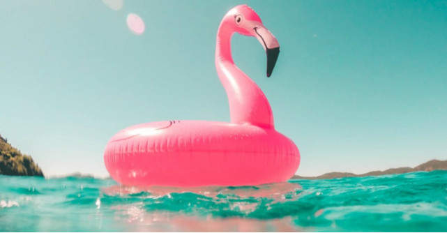 Saltele gonflabile adorabile pentru party la piscină sau distracția la mare!